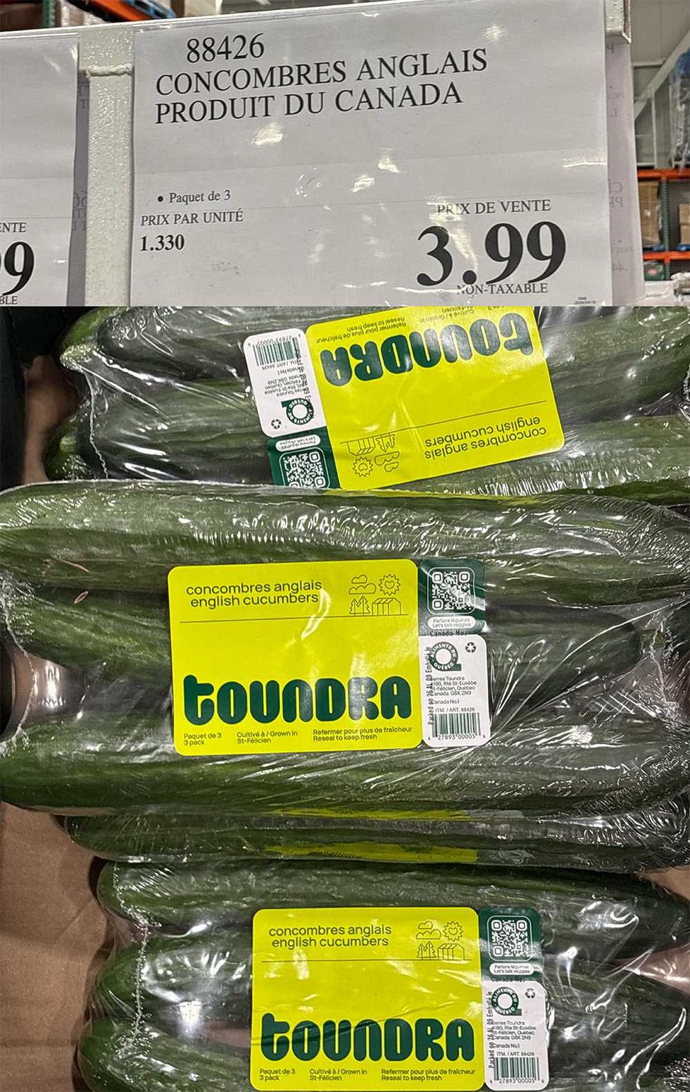 Concombres anglais Toundra