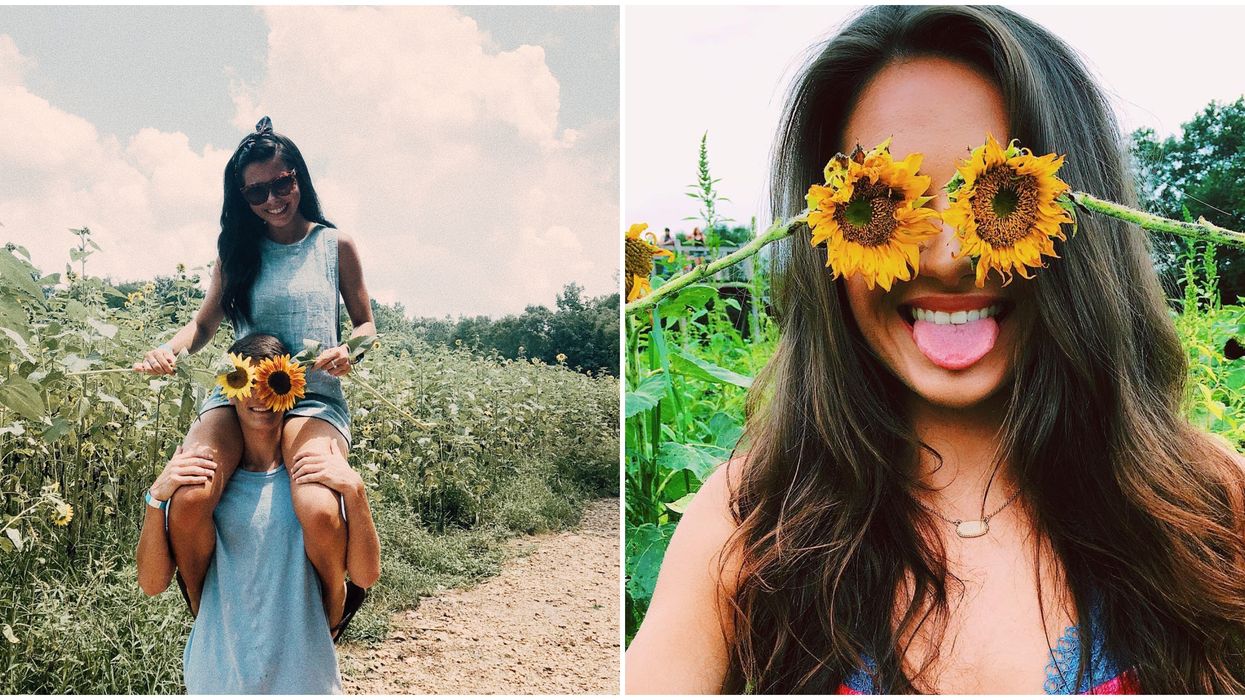 Copper Creek Farm Sunflower Field In Georgia Will Be Opening Next Week For Visitors