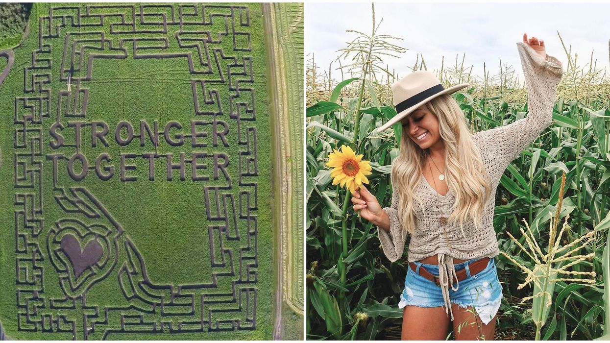 Corn Maze In Edmonton Has A Heartwarming Look You'll Love To Get Lost In