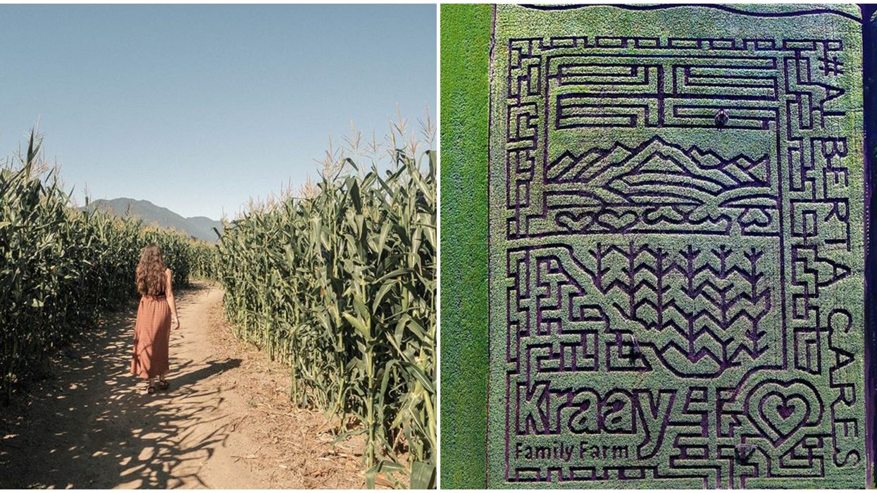Corn Mazes In Canada That Are Perfect Places To Get Lost In This Fall