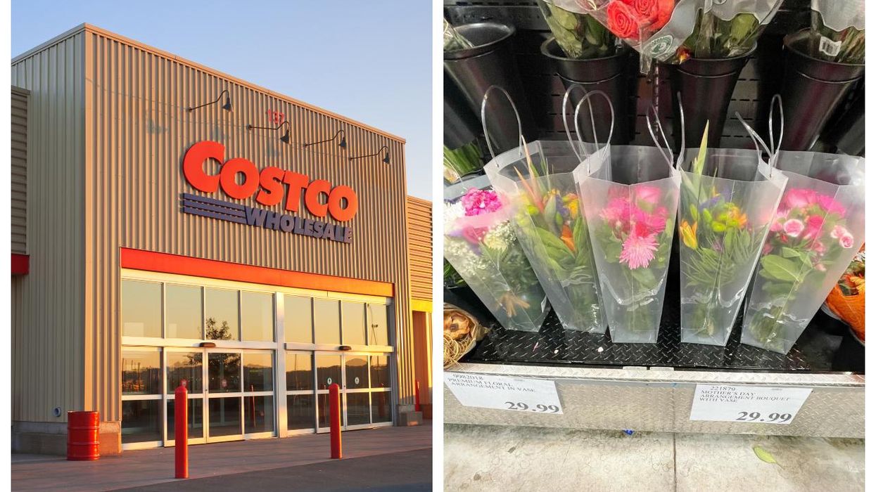 Costco Canada Hidden Gems That Canadians Say Are Must-Haves