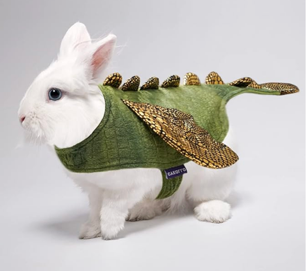 Costume de dinosaure pour petit animal.
