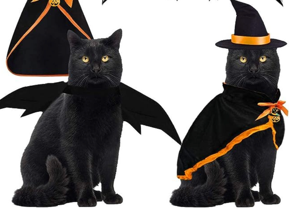 Costume de sorcier pour chat.