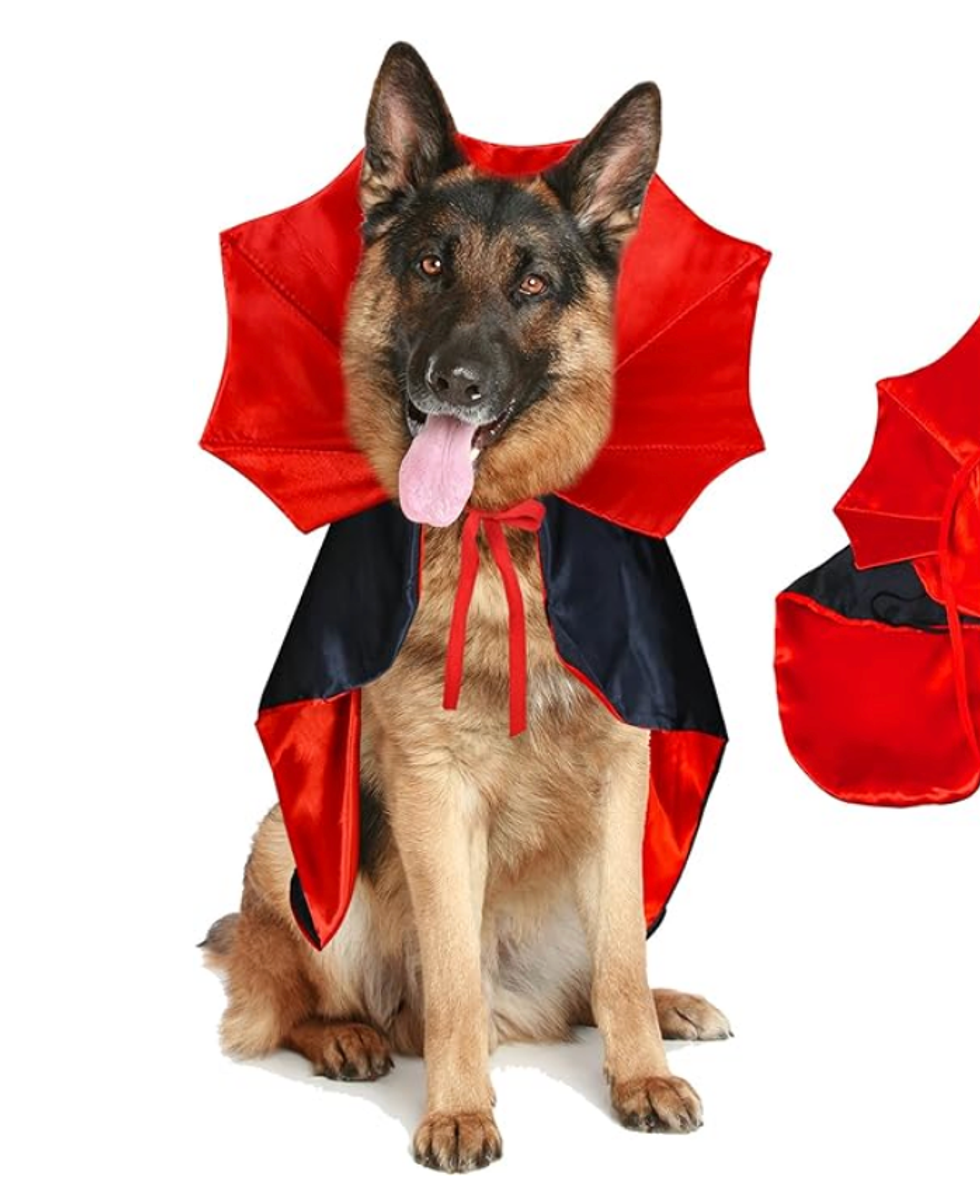 Costume de vampire pour chien.