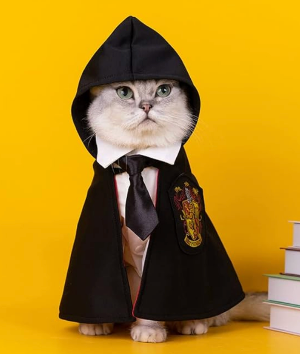 Costume Harry Potter pour chat.
