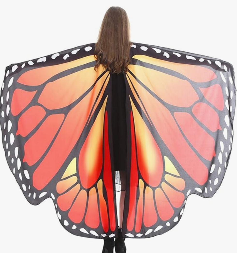 Costume papillon.