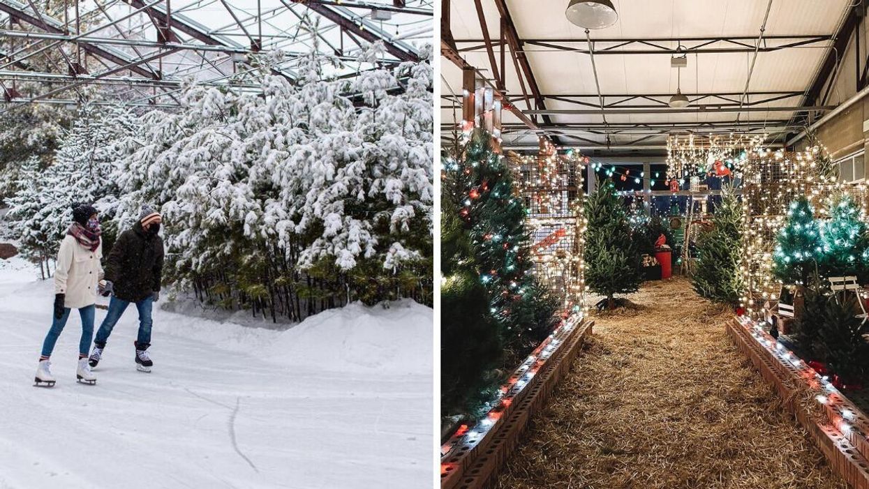 Couple skating past snowy trees. Right: Twinkly lights at a market.
