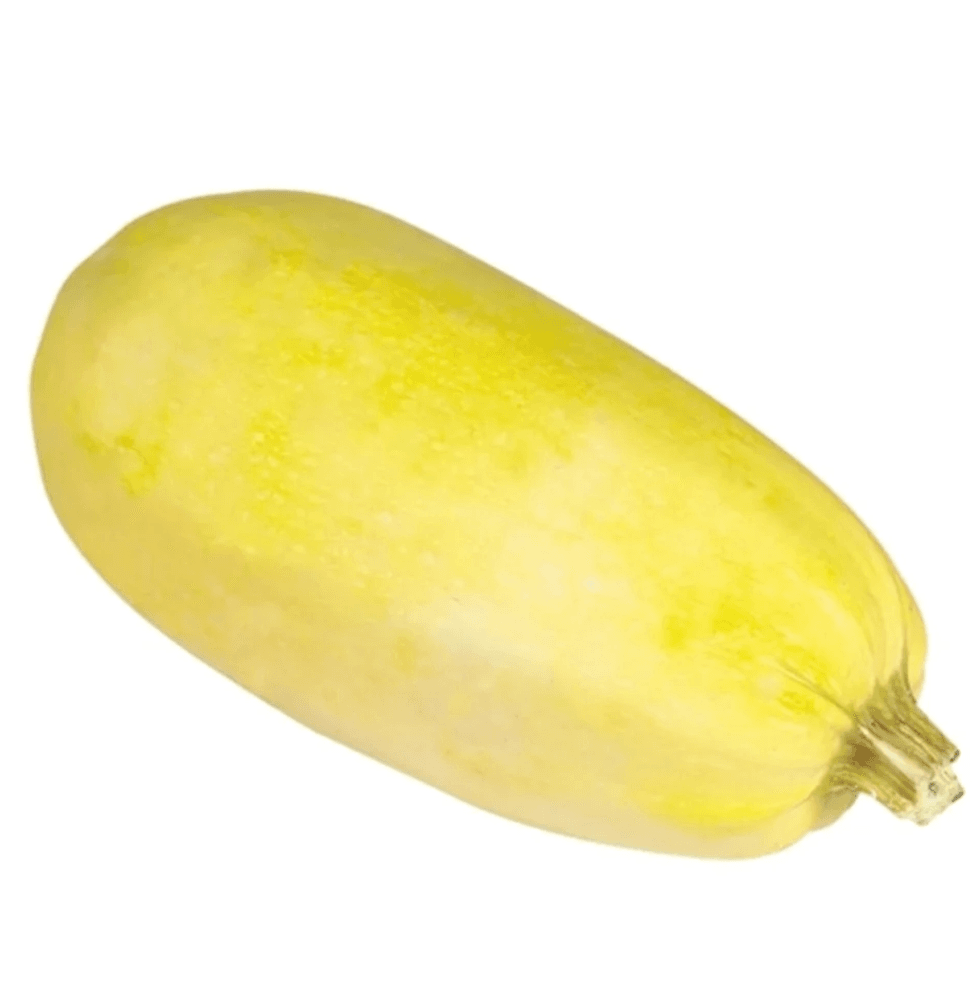 Courge spaghetti sur fond blanc.