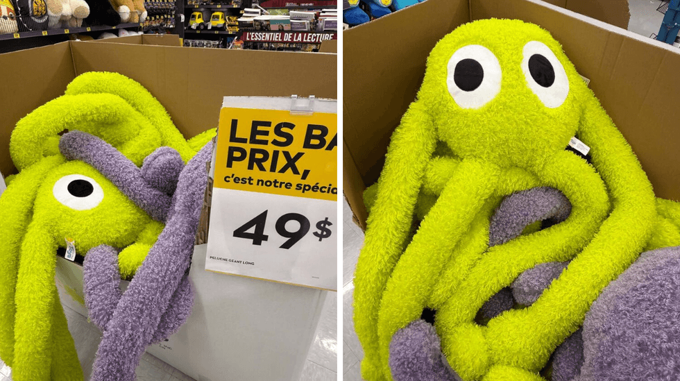Coussin g\u00e9ant en vente au Tigre G\u00e9ant pour 49 $.