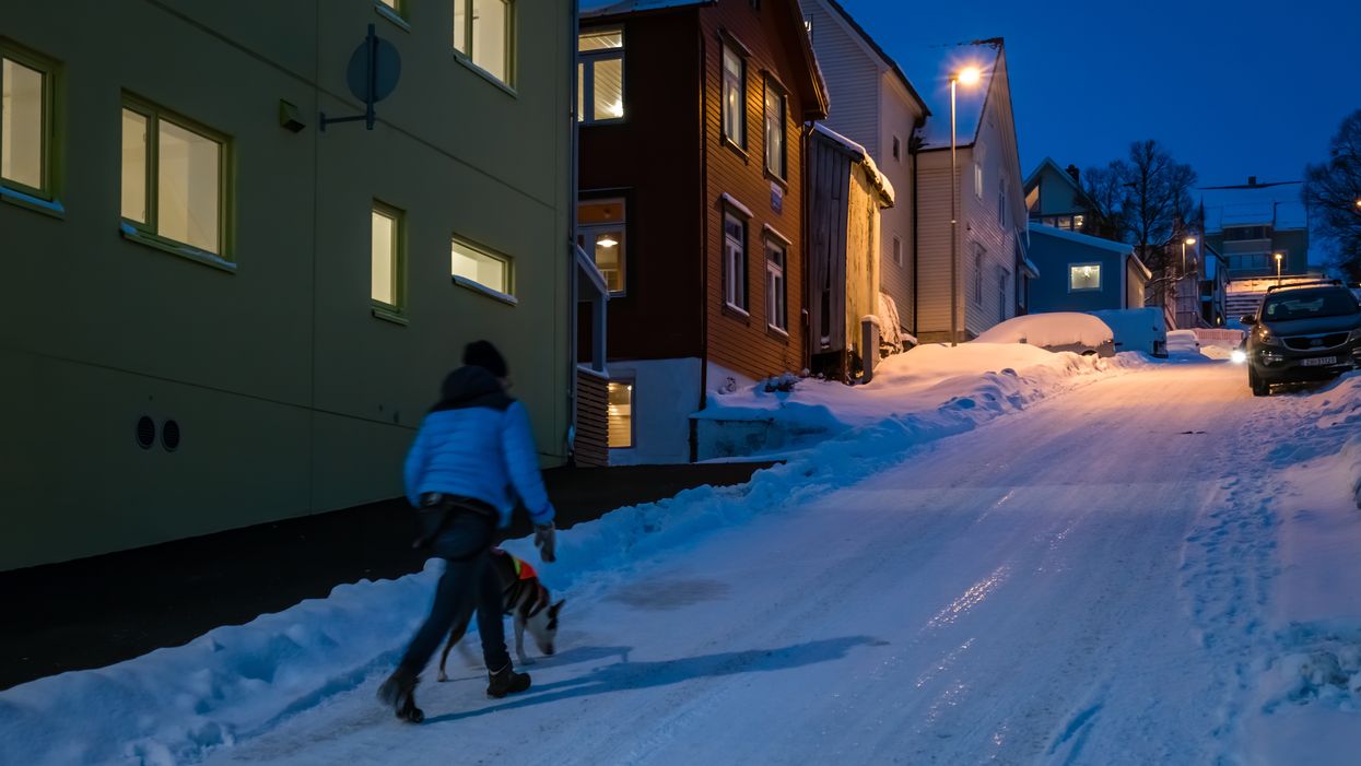 Couvre-feu au Québec: tu pourras sortir tes animaux de compagnie entre 20h et 5h