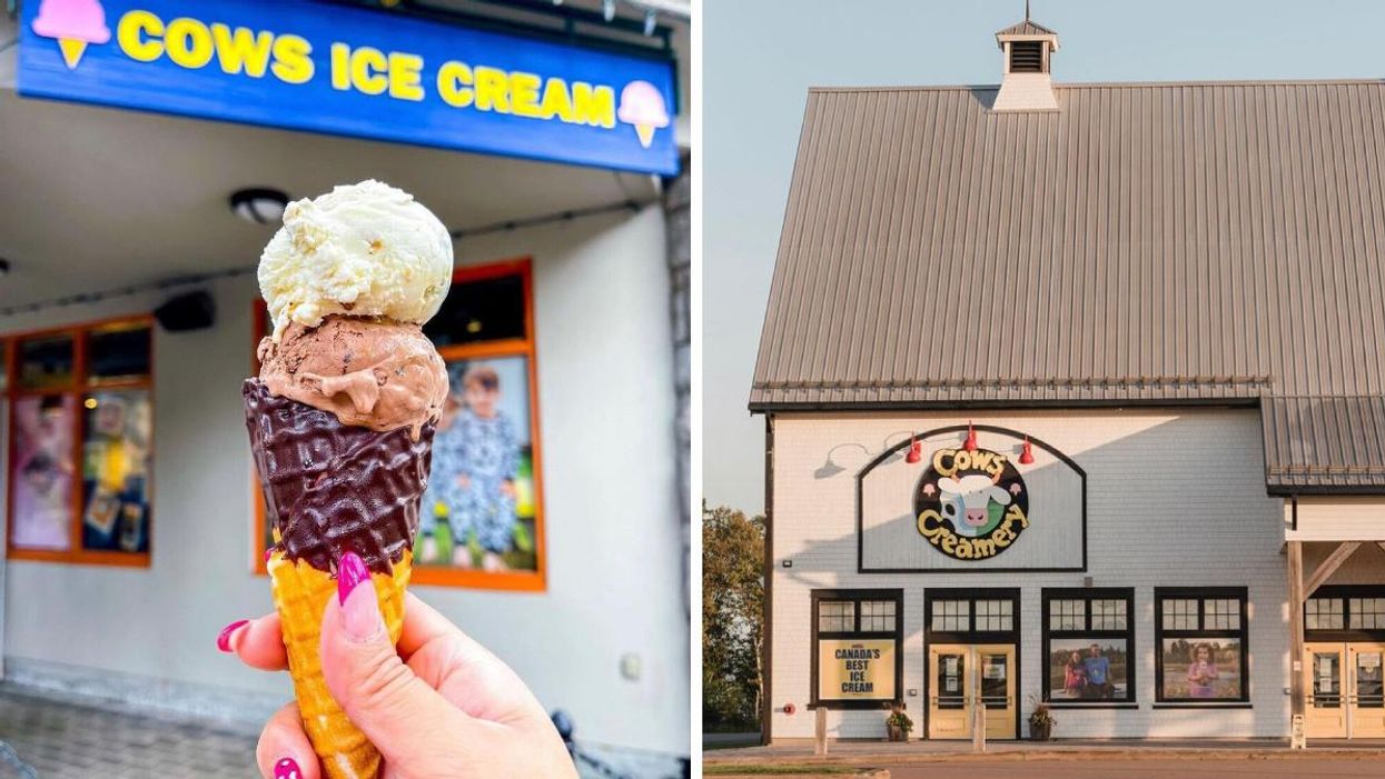 Cows ice cream in a waffle cone. Right: Cows Creamery in PEI.