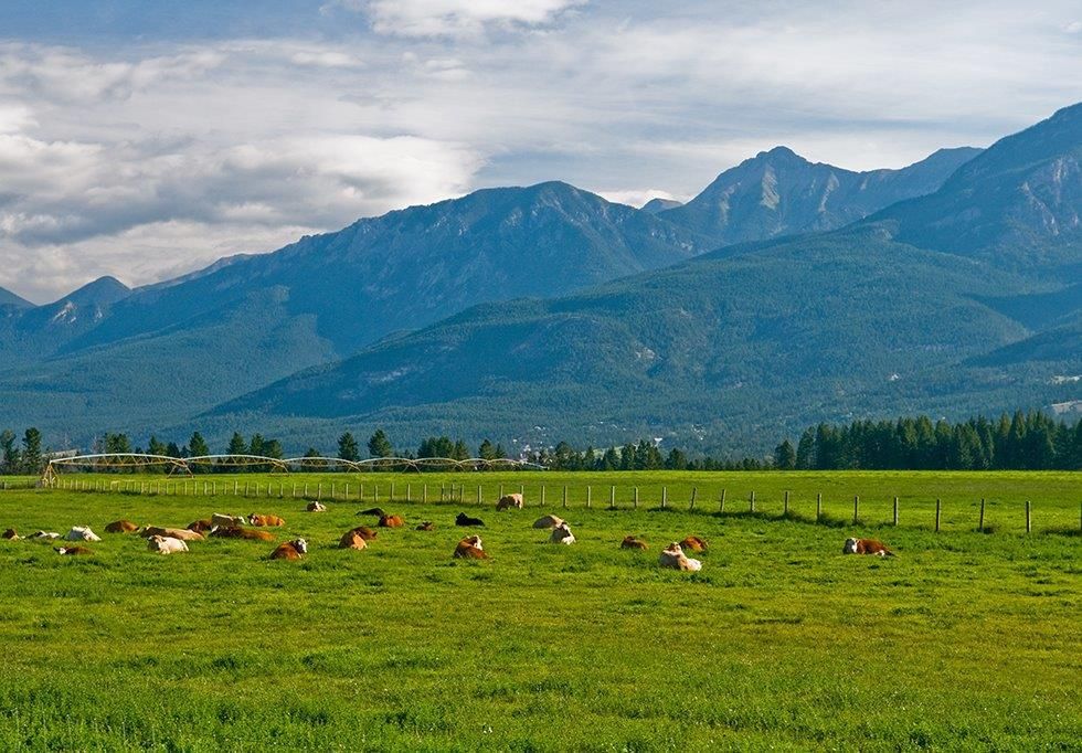 This Massive Ranch For Sale In BC Comes With A Golf Course & Is