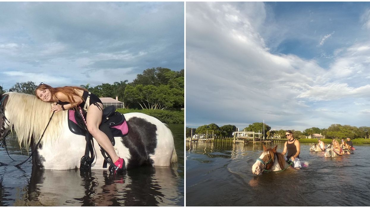 CPonies Horseback Ride Near Tampa Lets You Take A Magical Swim With Rescue Horses