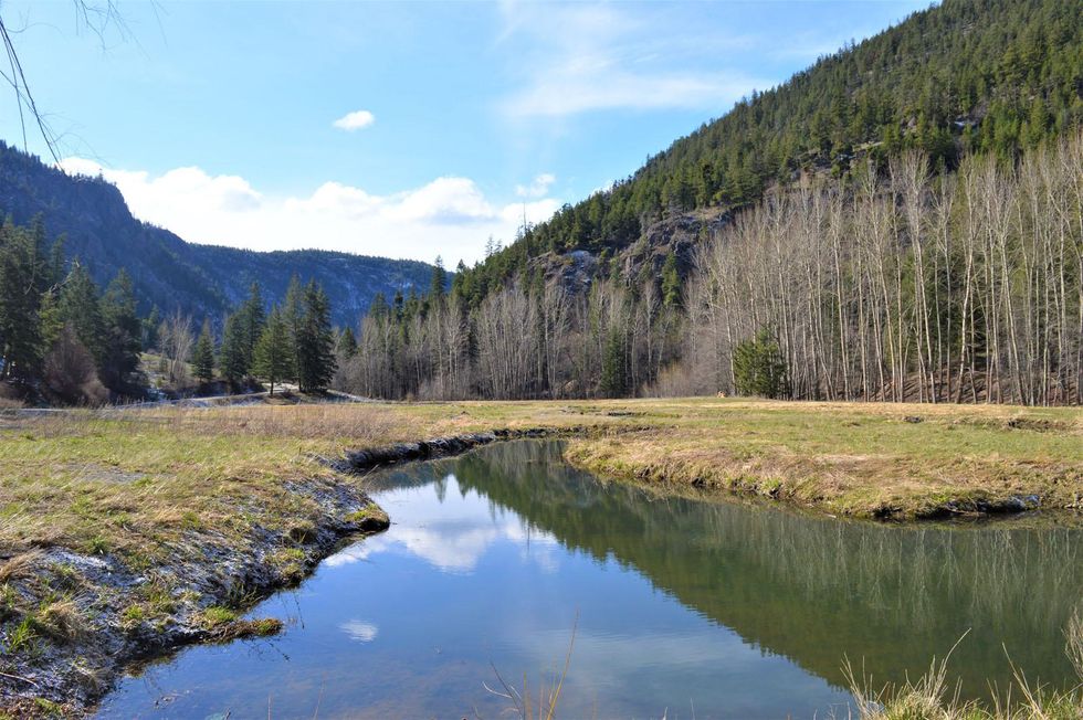Creek and moutains on the property.