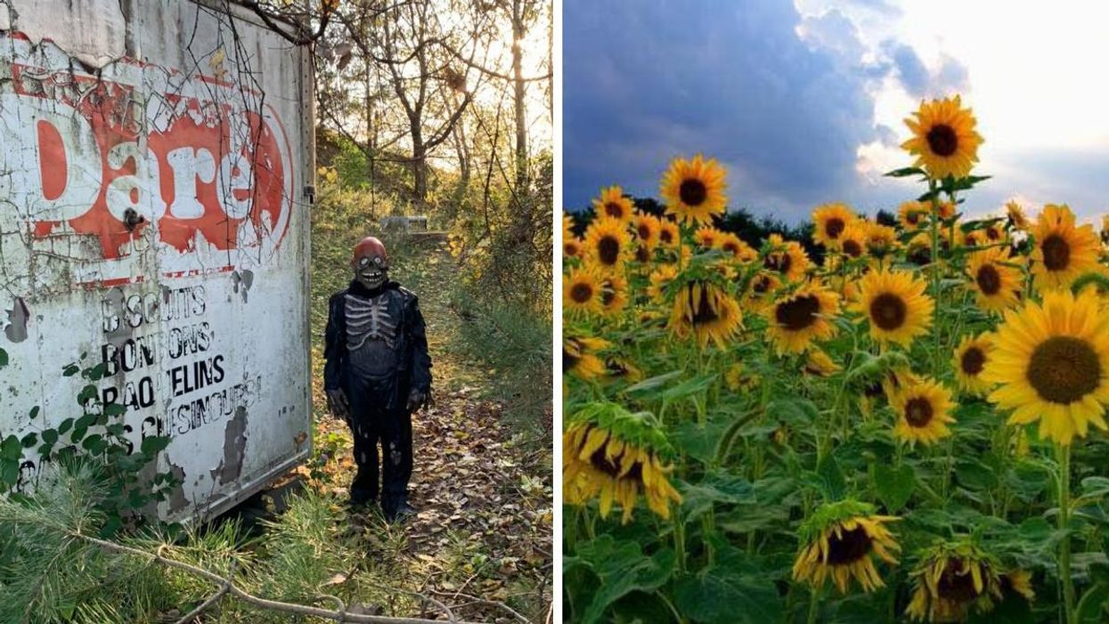 Creepy forest with a monster standing on the path. Right: Sunflower field with a cloudy sky.