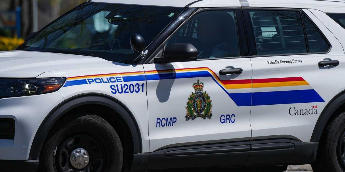 Nlm Extort Crime networks using youths for extortion: Fintrac - Narcity