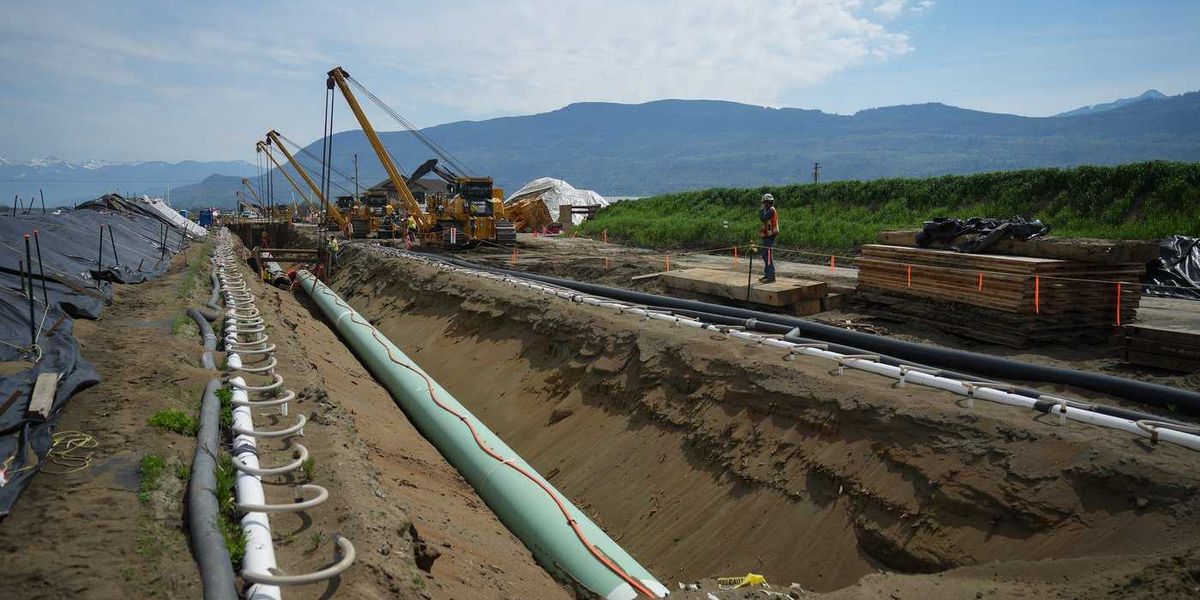 Critics warn project review changes risk delays Critics warn project review changes risk delays