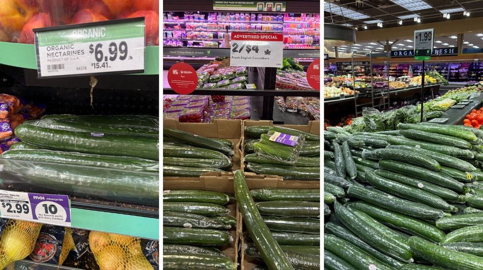 cucumbers at metro, longo's and fortinos