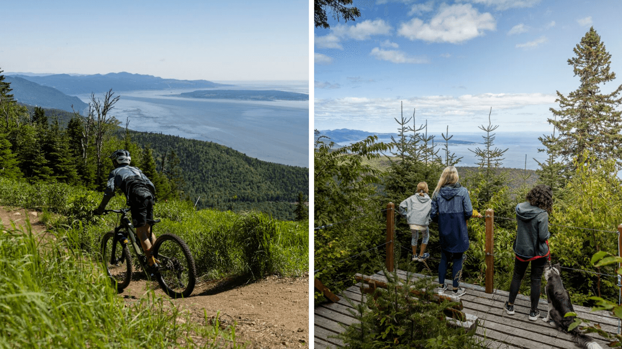 Cycliste sur un sentier de montagne avec vue sur le fleuve Saint-Laurent. Droite: Famille observant le fleuve Saint-Laurent depuis un belvédère en forêt.