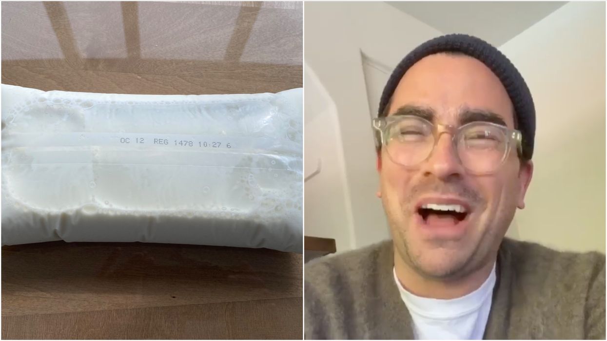 Dan Levy Gave An American Actor A Tutorial On Milk Bags & Things Got So Canadian