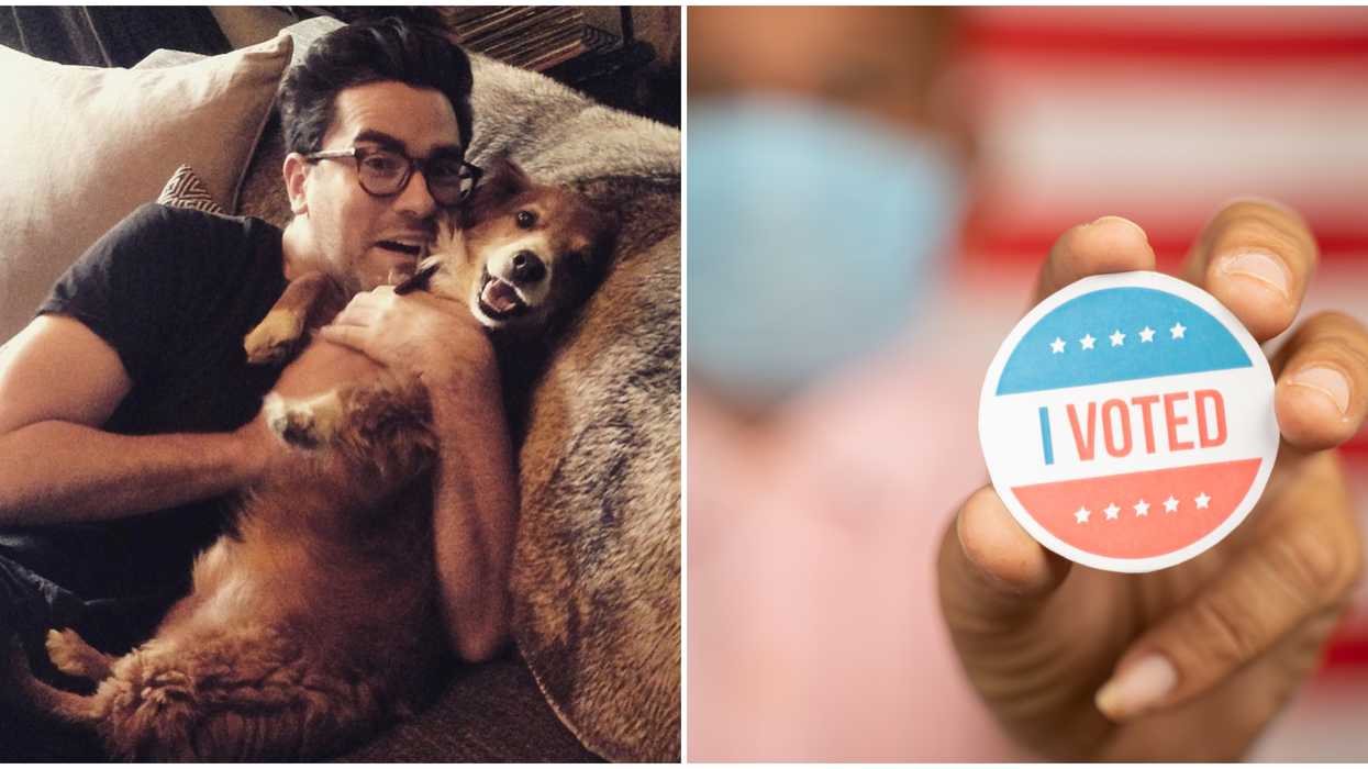 Dan Levy's Twitter Shout Out To Poll Works & Biden's Campaign Was So Sweet