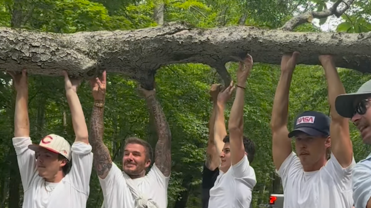 David Beckham and Austin Butler helping to lift a tree off of the road in Muskoka.