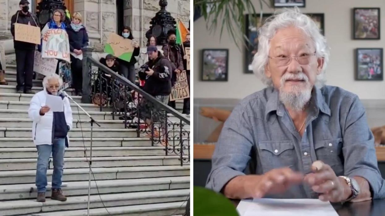 David Suzuki Warns That 'Pipelines Will Be Blown Up' If Nothing Changes After The BC Floods
