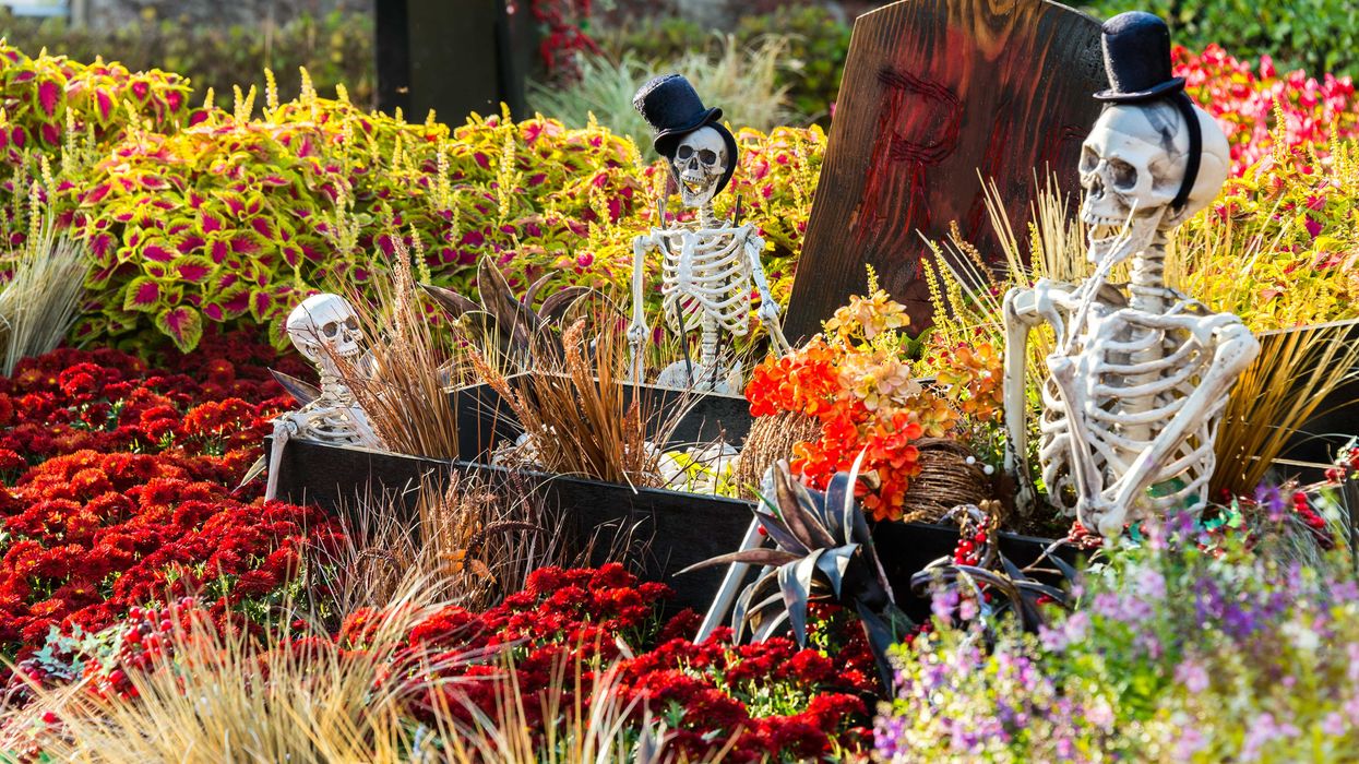 De décorations d'Halloween.