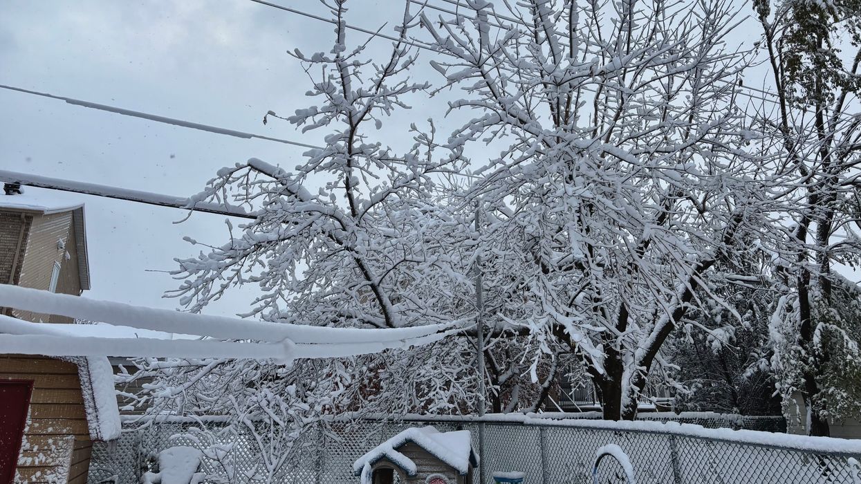 De la neige en novembre.