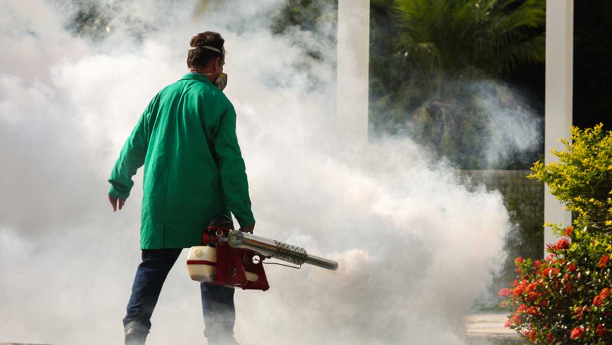 Dengue Fever In The Florida Keys Is Spreading As New Cases Are Confirmed