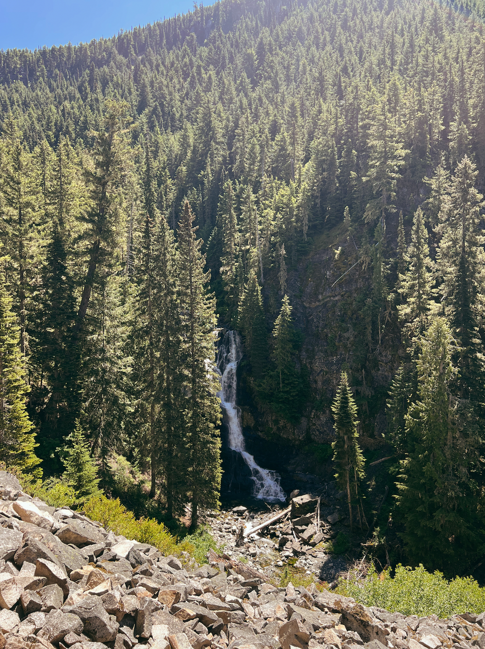 Derek Falls E.C. Manning Park