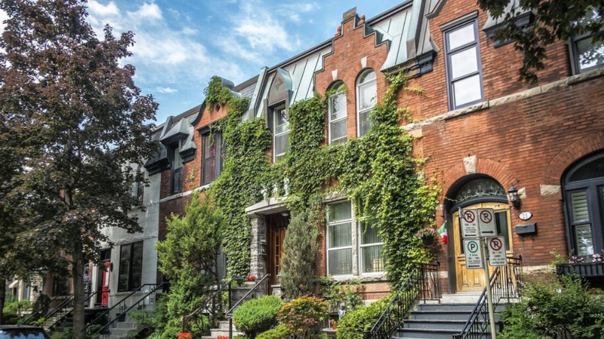 Des appartements en rangée avec des plantes grimpantes sur une devanture à Montréal.