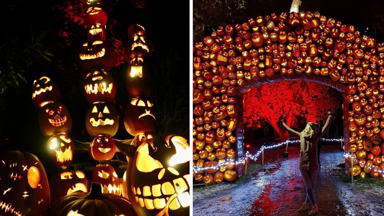 Des citrouilles lumineuses au festival Pumpkinferno. Droite : Une femme devant le circuit de citrouilles au festival Pumpkinferno.
