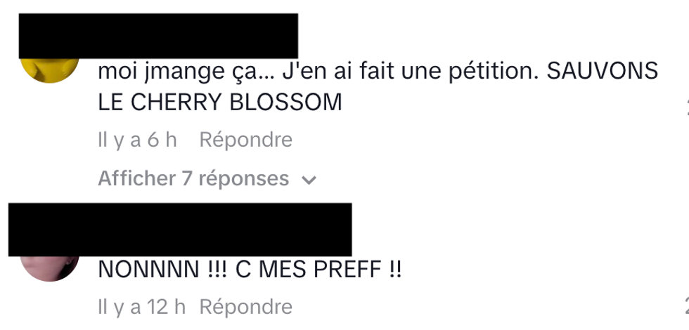 Des commentaires sous une publication TikTok de Tommy N\u00e9ron.