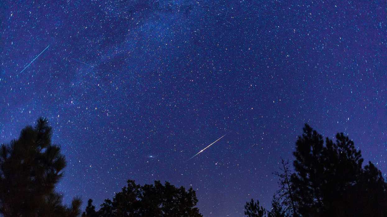 Des étoiles filantes.