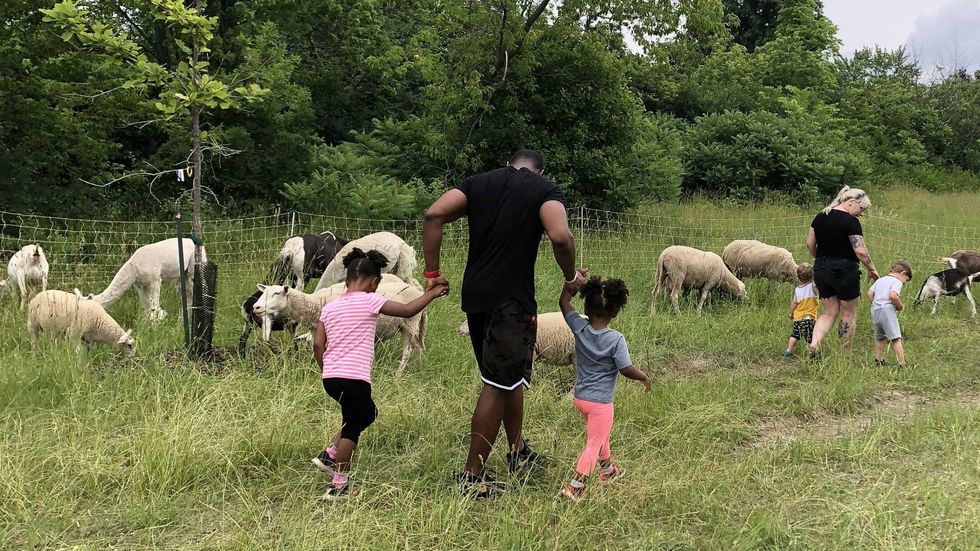 Des familles parmi des animaux de la Ferme mobile PACE