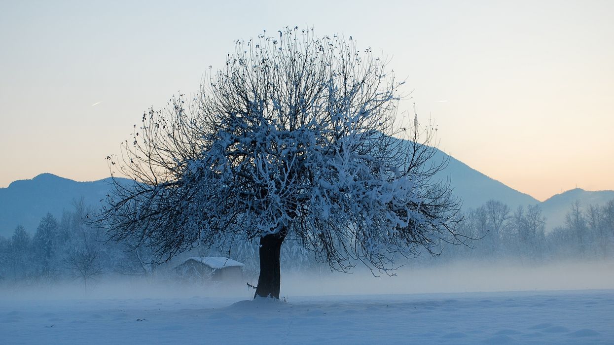 Des froids extrêmes sont attendus partout au Canada et le Québec s'en tire bien
