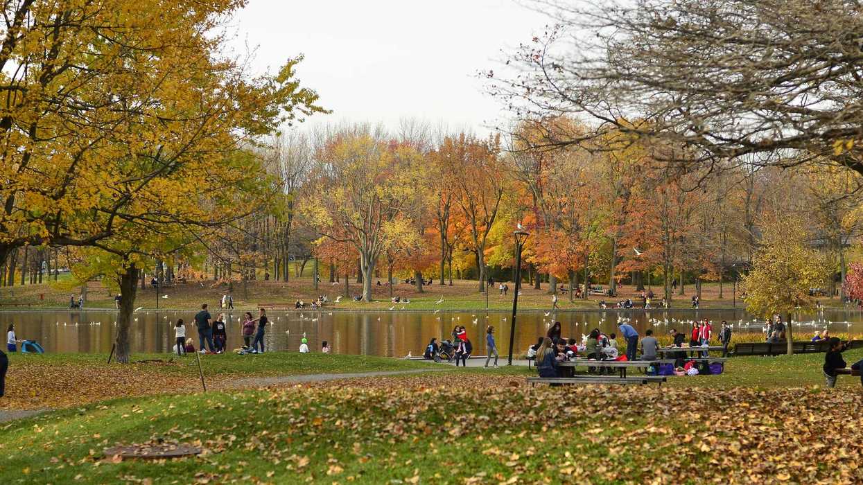 Des gens dans un parc à Montréal à l'automne.
