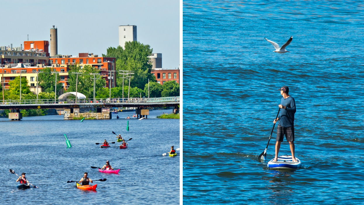 Des gens font du kayak sur l'eau du canal de Lachine avec des immeubles de la ville en arrière-plan. Droite : Un homme fait du paddleboard. alors qu'un oiseau vole au-dessus de lui.
