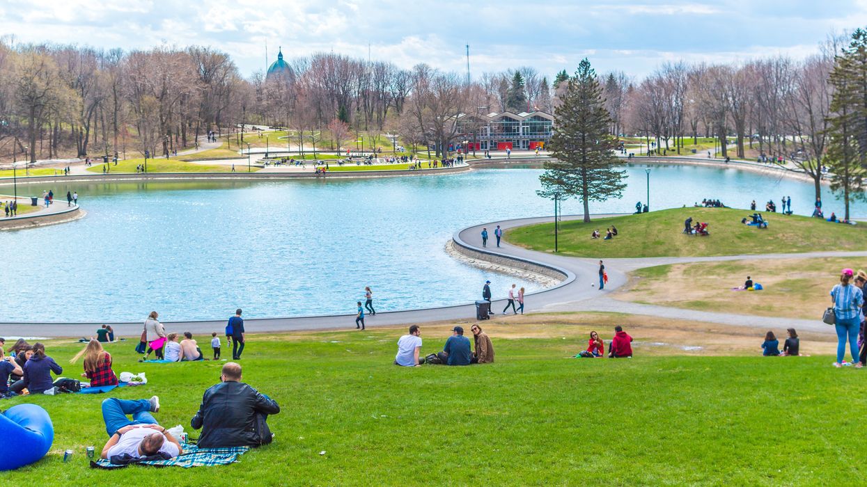 Des gens sur le mont Royal.