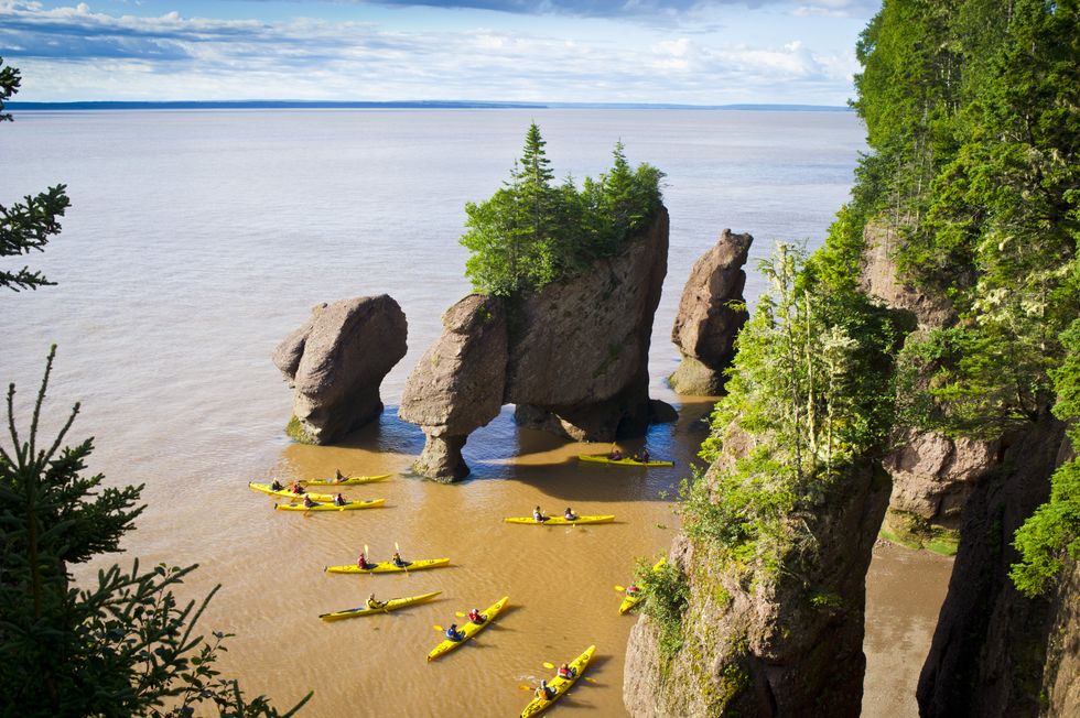 Des kayakistes aux rochers Hopewell.