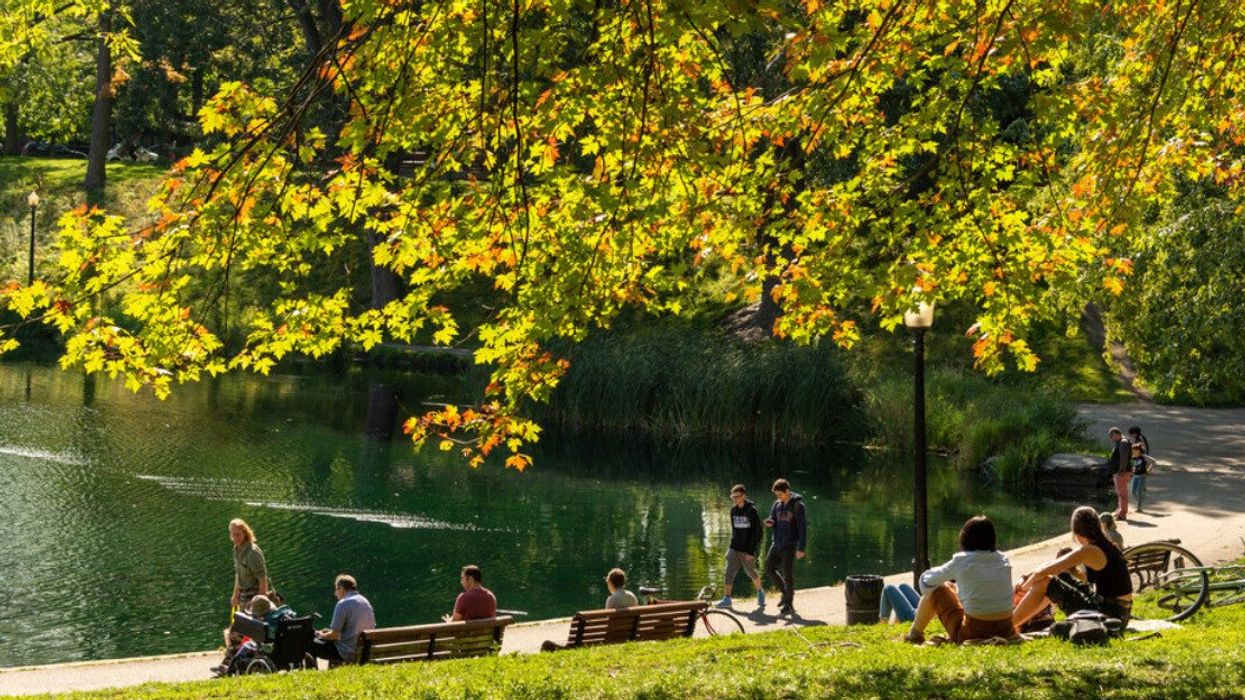 Des personnes sont assises ou marchent près d'un lac au parc La Fontaine à Montréal.