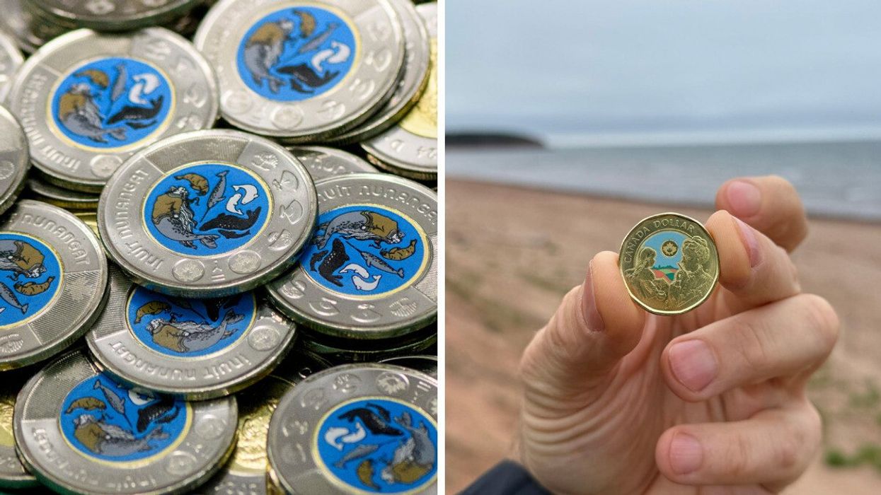 Des pièces de 2 $ avec un centre bleu et des images d'animaux. Droite : une pièce de 1 $ avec du bleu et des personnages.
