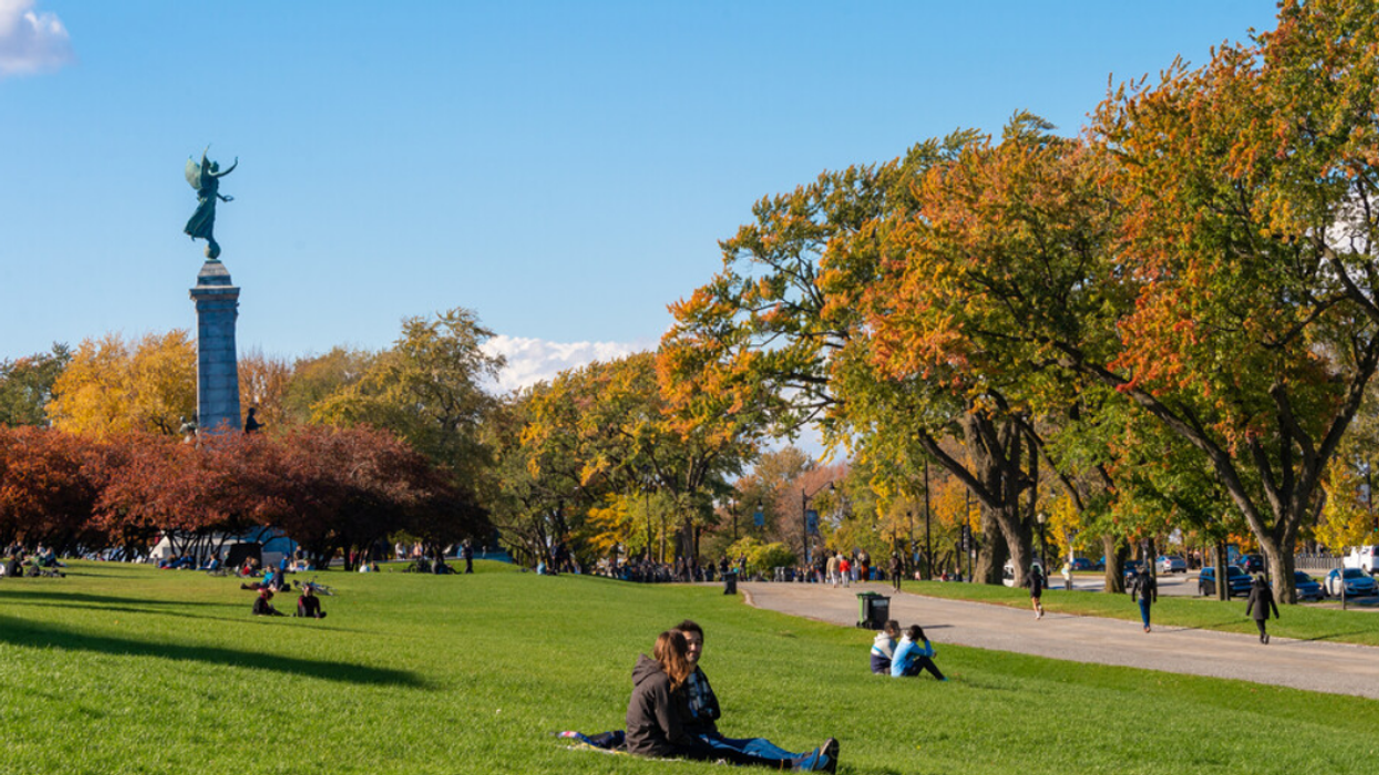 Des Québécois dans un parc l'automne à Montréal.