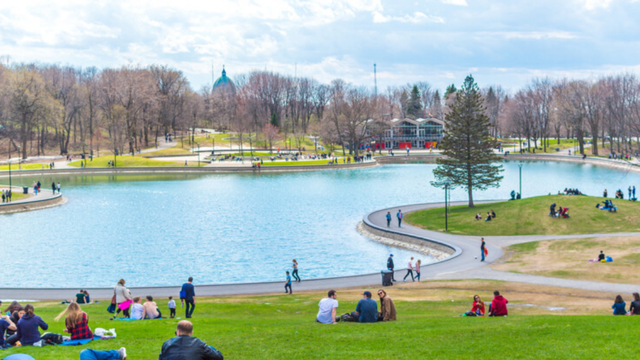 Des Québécois.es profitent du printemps au parc du Mont-Royal.