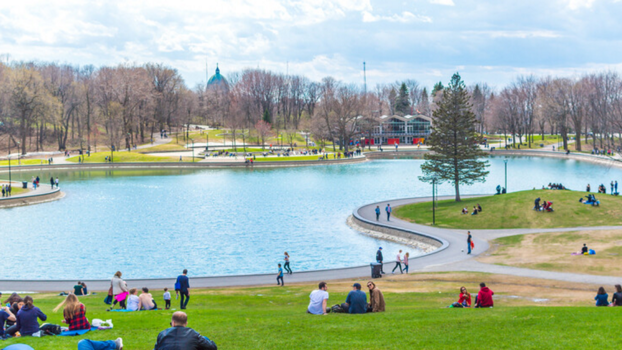Des Québécois.es profitent du printemps au parc du Mont-Royal.