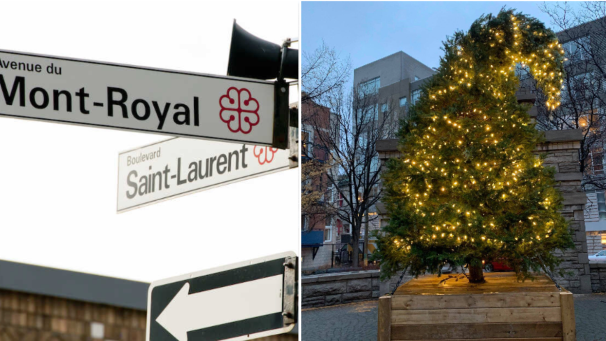 Des sapins de Noël du boulevard Saint-Laurent ont été volés par le «Grinch du Boulevard»