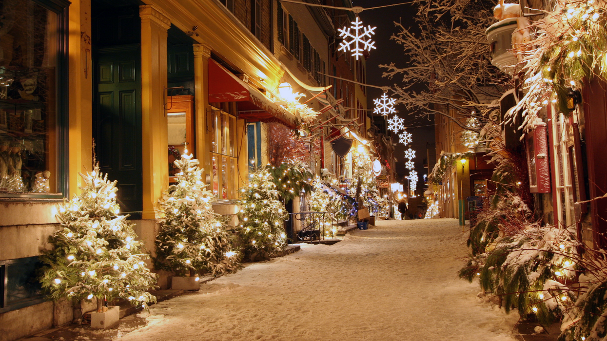 Des sapins de Noël illuminés dans une rue enneigée.