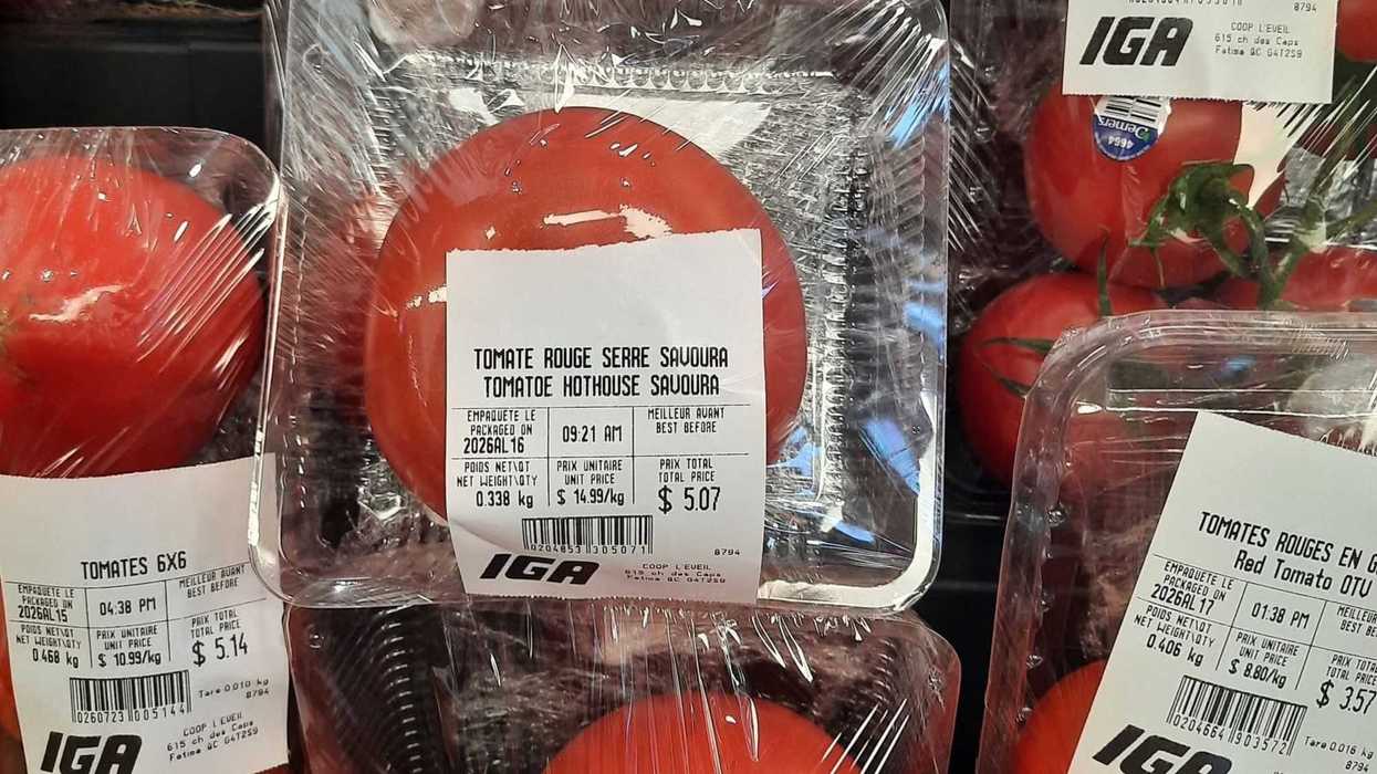 Des tomates.