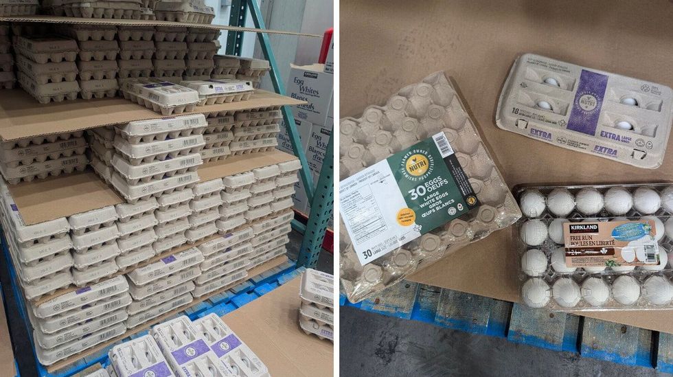 Des \u00e9talages de bo\u00eetes d'oeufs chez Costco. Droite : un paquet de 30 oeufs, un paquet de 18 oeufs et un paquet de 24 oeufs bio en vente chez Costco.